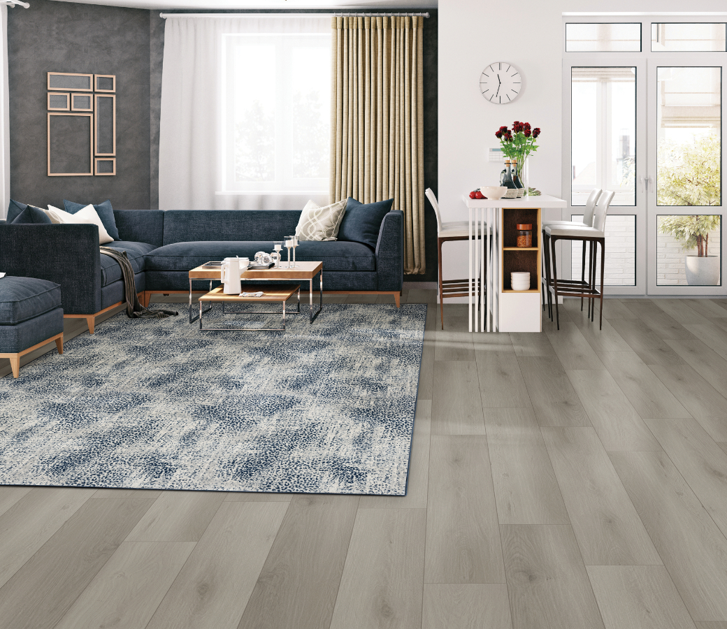 Area rug in living room